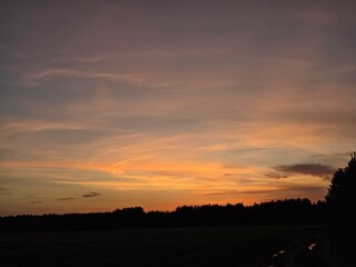 Fototapeta premium Sunset sky with warm orange and pink tones over dark forest silhouette. Good for backgrounds, nature websites, travel blogs, social media or inspirational designs