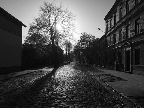 Fototapeta Black and white photo of a quiet cobblestone street lined with pruned trees and historic buildings, including a two-story structure with a dome. Serene, timeless old town scene.