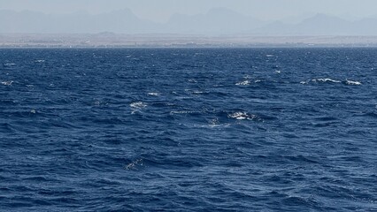 Fototapeta premium Red sea and Sinai mountains on a background. Tours to Egypt, travel and tourism concept.An aerial perspective showcasing the vibrant red sea desert coast, a colorful coral reef, and the stunning blue 