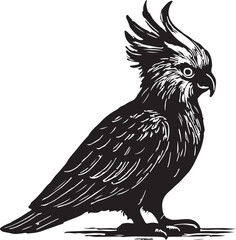 Detailed black and white woodcut illustration of a crested cockatoo bird standing on a white background