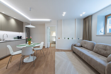 Modern Home Living Room and Kitchen Interior with Stylish Minimalistic Design