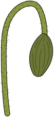 Poppy Curved Stem Bud