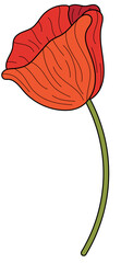 Poppy Side View