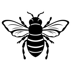 Illustration of a black and white bee with detailed wings and striped abdomen in a symmetrical design