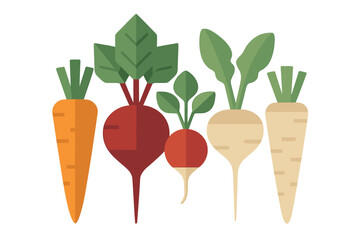 Colorful collection of various healthy root vegetables including carrots, beets, radishes, turnips, and parsnips with green foliage
