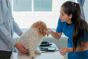 Dog owner visiting vet clinic for pet health consultation and vaccination, symbol of pet wellness...