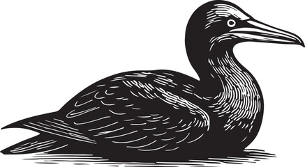 Vintage black and white woodcut illustration of a cormorant bird with a long neck and beak sitting on water