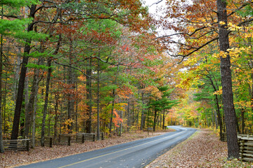 Rural road in Autumn Fall Season in the Shenandoah Valley Blue Ridge Mountains Virginia George Washington and Jefferson National Forest