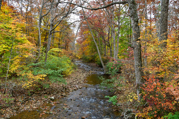 River in Autumn Fall Season in the Shenandoah Valley Blue Ridge Mountains Virginia George Washington and Jefferson National Forest