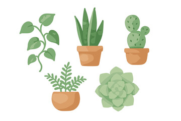 Botanical collection of various green potted houseplants and succulents with a charming watercolor texture on a clean white background