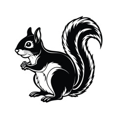 Black Silhouette Squirrel with White Accents rodent