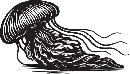 Detailed black and white woodcut illustration of a flowing jellyfish with long tentacles against a stark white background