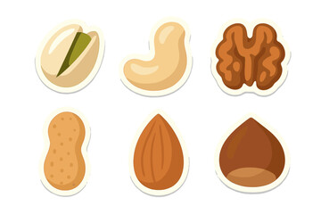 Assortment of healthy nuts including pistachio, cashew, walnut, peanut, almond, and hazelnut, rich in protein and nutrients
