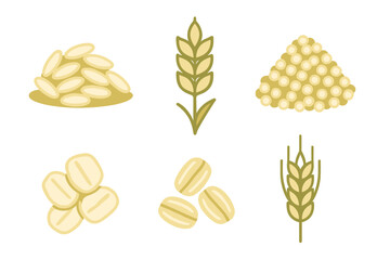 Natural healthy cereal grains including rice, oats, millet, and wheat plant elements for food and agriculture