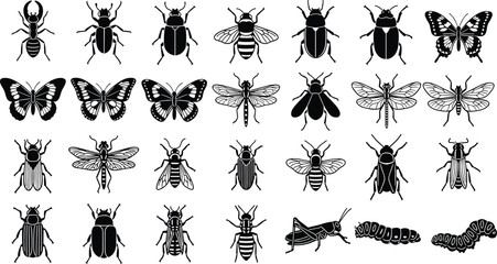 Black and white insect illustration set, beetles, butterflies, bees, dragonflies, flies, grasshoppers, caterpillars, entomology, biology, nature, detailed vector collection