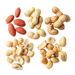 Roasted Peanuts in Shells and Shelled Peanuts 