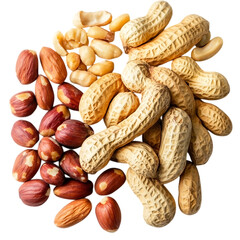 Roasted Peanuts in Shells and Shelled Peanuts 