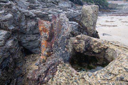 Barnacles and limpets growing on concrete at Padstow Cornwall
