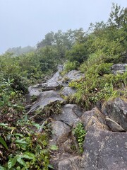 river in the mountains