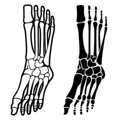 vector illustration of human hand