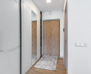 Modern Home Entrance Hall With Wooden Door and Minimalist Interior Design