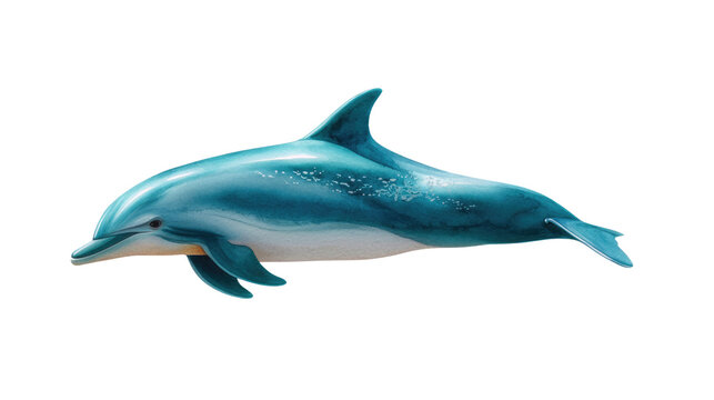 Ocean's Grace: A sleek, aquatic acrobat, the dolphin glides effortlessly, a paragon of marine beauty. This image captures the spirit of the sea.