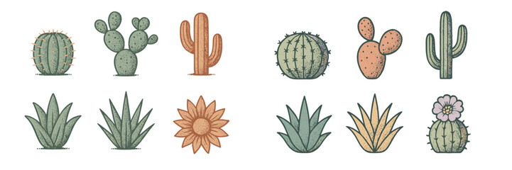 Obraz premium Collection of hand-drawn cacti and succulents featuring various species in a colorful and artistic style