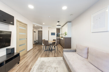 Modern Minimalist Apartment Interior with Open Kitchen and Cozy Living Area