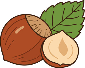 Healthy hazelnut vector illustration with green leaf scalable food graphic