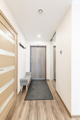 Modern Home Entryway with Wood Flooring and Minimalistic Decor Design. Exit Door