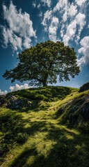 Fototapeta premium Majestic tree atop a hill, dramatic sky