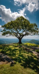 Obraz premium Majestic tree atop a mountain ridge