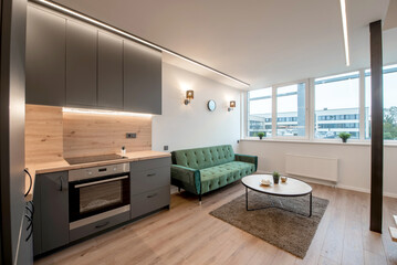 Modern Cozy Studio Apartment With Contemporary Interior Design and Ample Natural Light