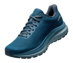 Sneaker isolated on a white background.