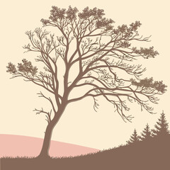 Obraz premium Transparent Grain Overlay Neutral Gradient 1