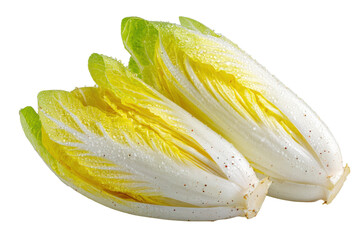 Raw Green Endive Leafy Vegetable Close-up on White