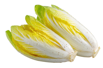Raw Green Endive Leafy Vegetable Close-up on White