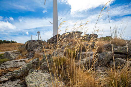 Wind turbines in a grassy landscape under a blue sky with scattered clouds in a rural area during daylight