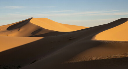 Golden sand dunes sculpted by wind under a clear blue sky, casting long shadows.