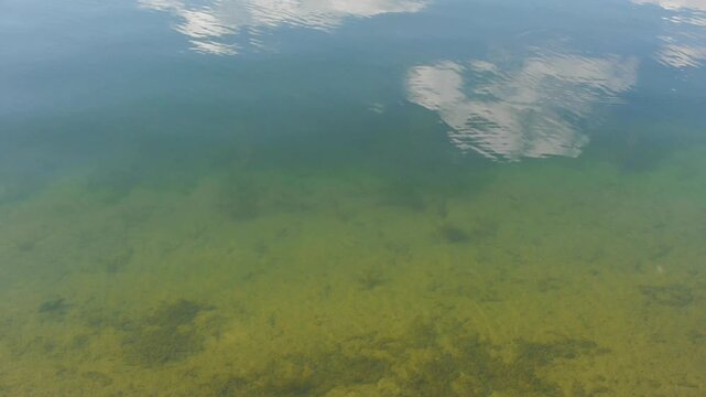 lake water surface flow with clouds reflection and fish underneath
