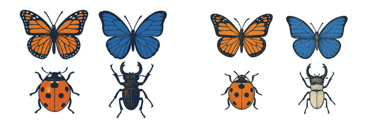 Colorful butterfly and beetle illustrations displaying various species against a white background