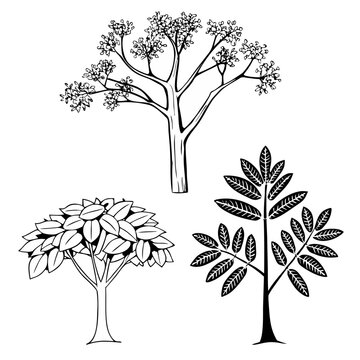 vector tree silhouette