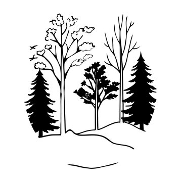 vector silhouettes of trees