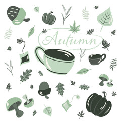 autumn_illustration_with_leaf_tea_squash_green