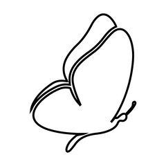 Butterfly Outline Icon for Nature, Beauty or Insect Graphics