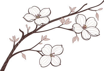 Elegant dogwood branch with delicate pale blooms vector illustration for design projects © Riddhi
