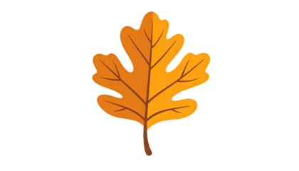An autumnal oak leaf