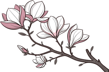 Realistic magnolia branch with delicate blossoms vector illustration scalable eps