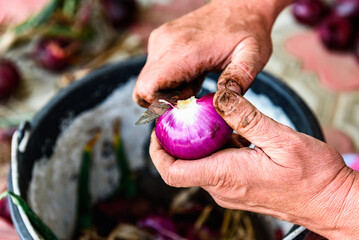 Woman peeling red onions for winter storage.