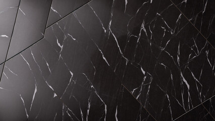 Dark marble slab with elegant white veins